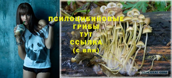 хмурый Абинск