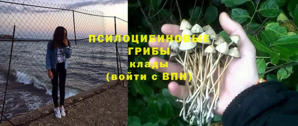 стаф Абаза